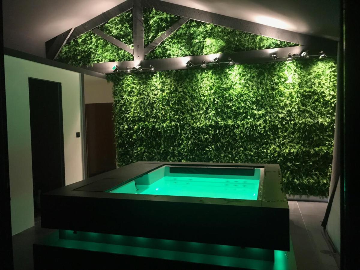 Deluxe Apartment Spa