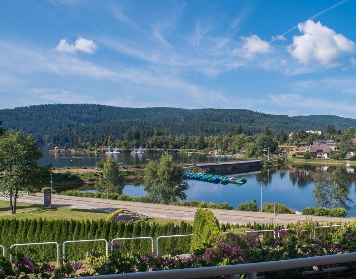 Apartment Lake View