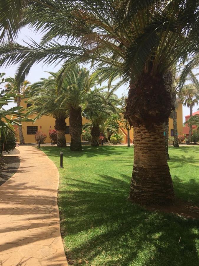 One-Bedroom Apartment,1101882471:JPEG