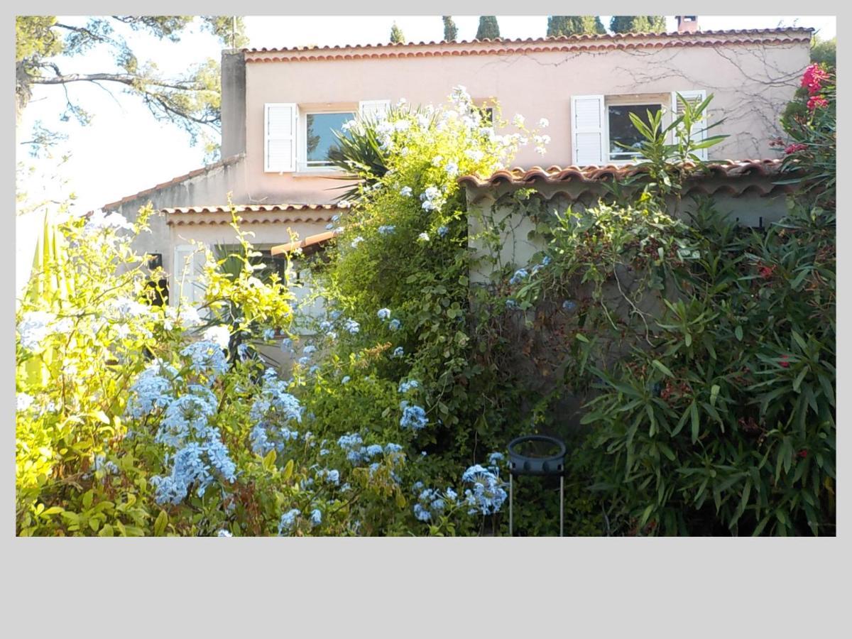 Double Room with Terrace,1161693600:JPEG
