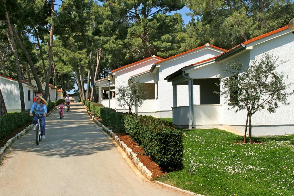 Classic Apartment (4+1)
