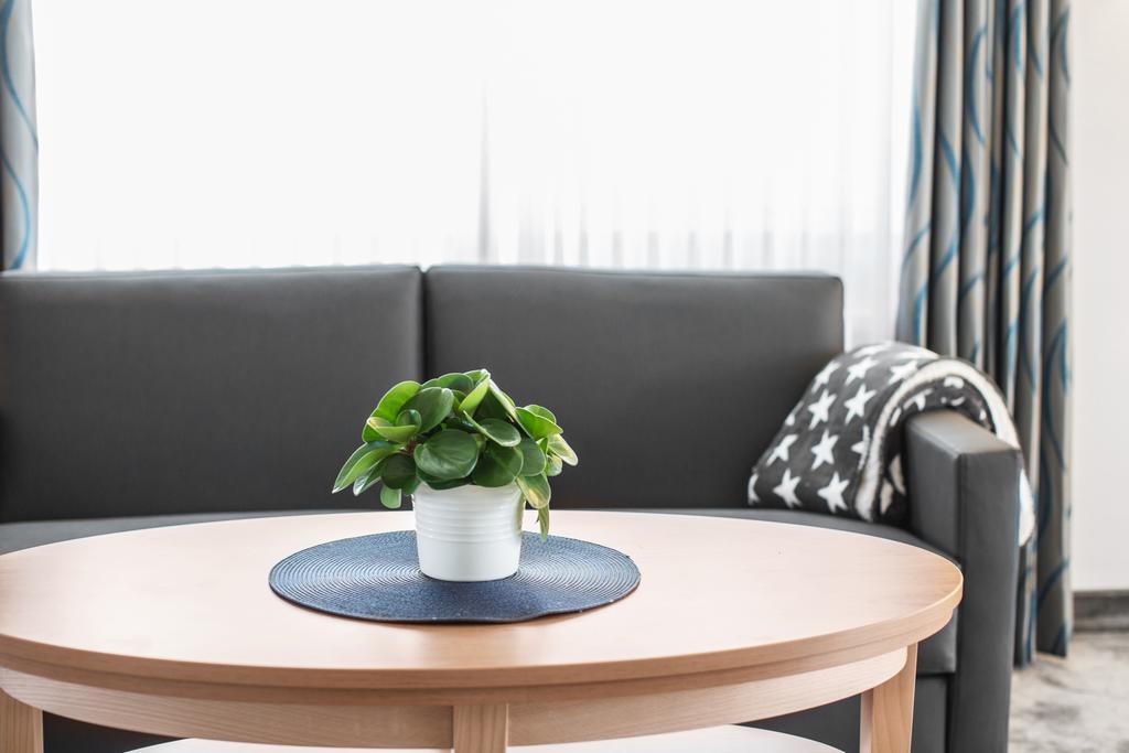 Apartment mit 1 Schlafzimmer