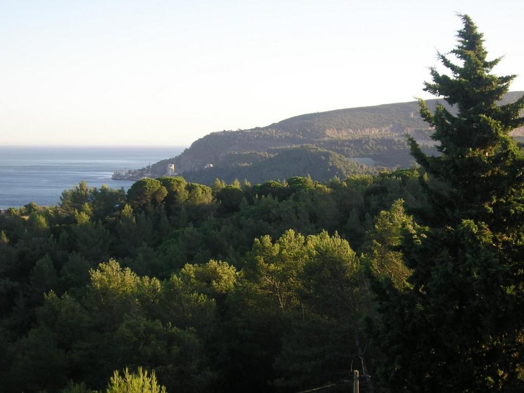 Suite com Terraço e Vista Montanha e Oceano