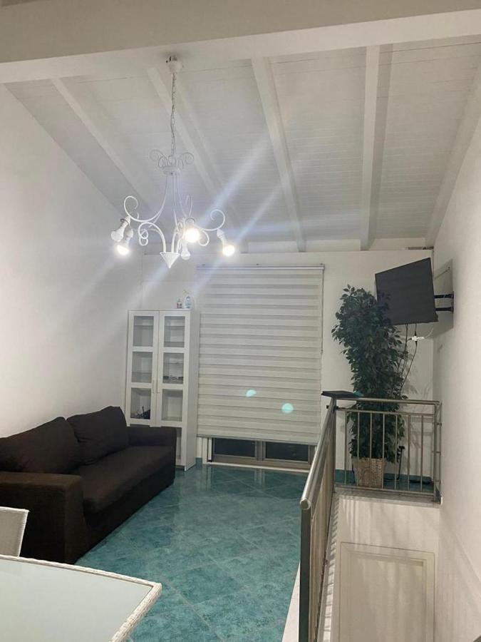 Studio Terrace