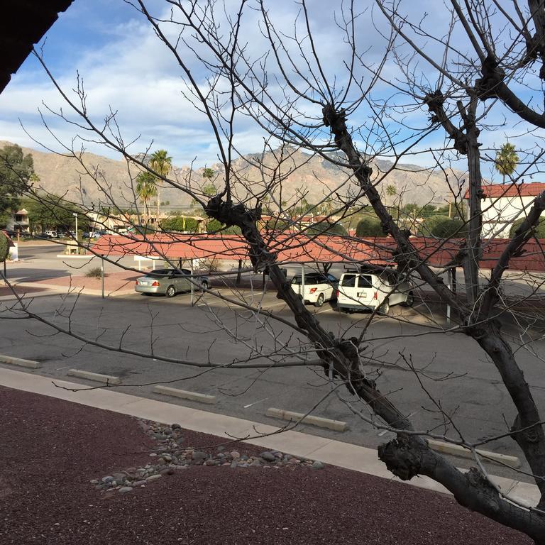Apartment with Mountain View