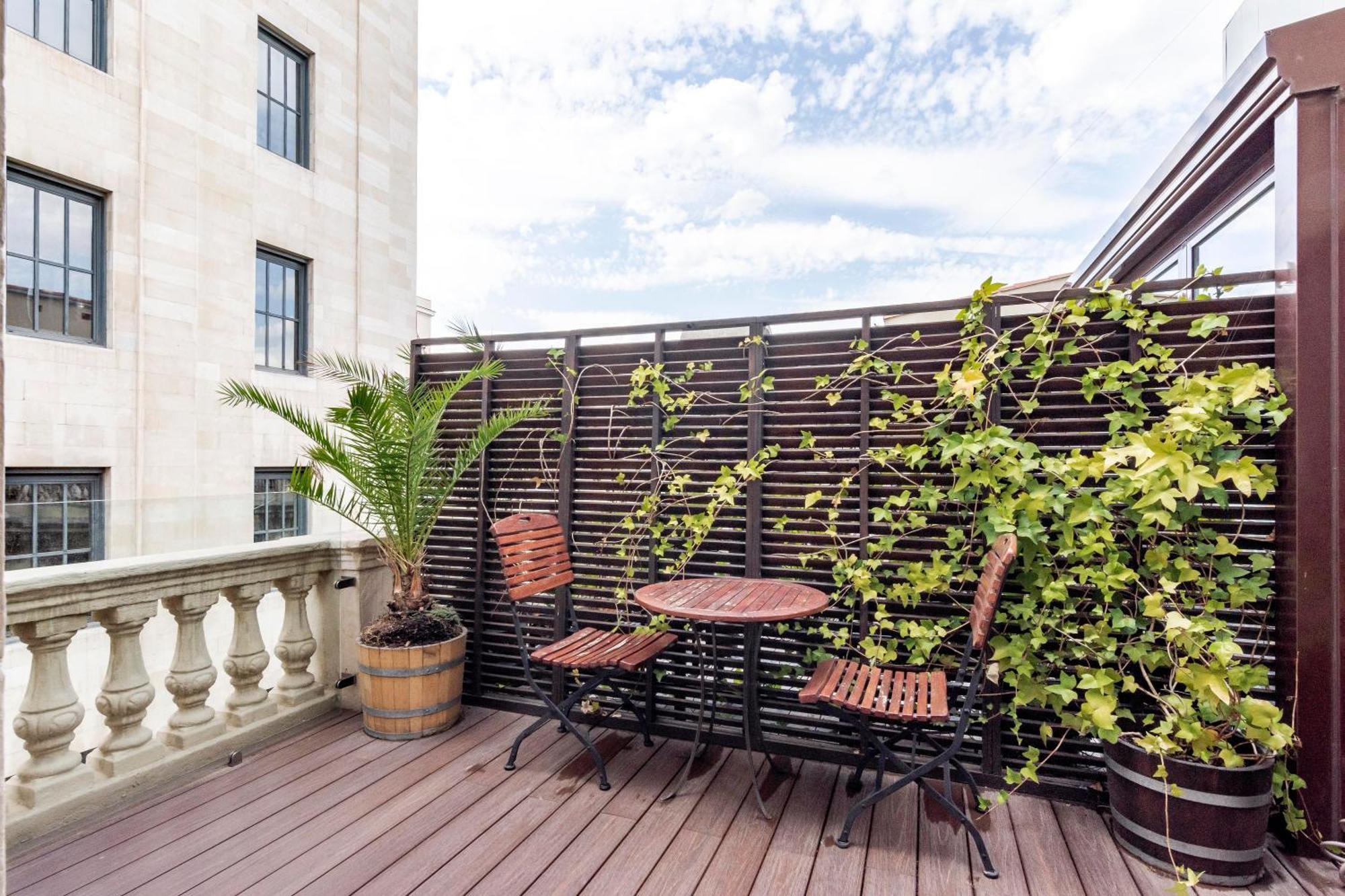 Estudio con terraza