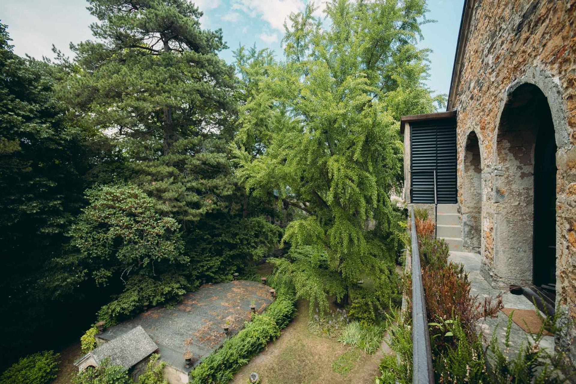 Suite Garden Level