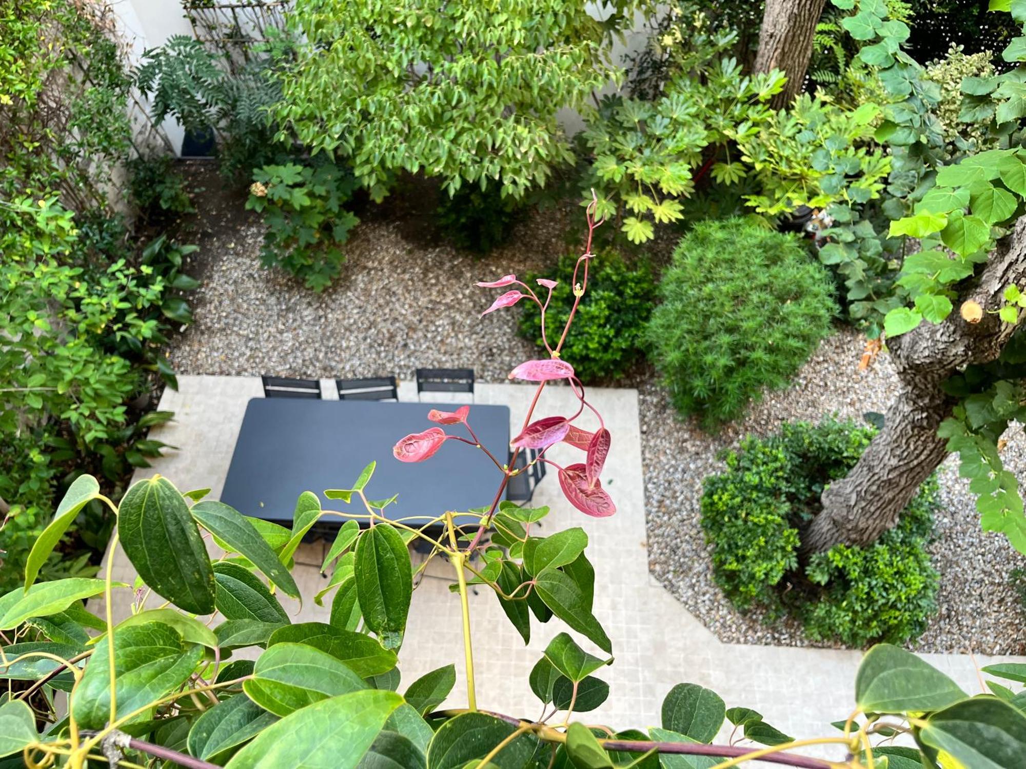 Queen Room Garden View