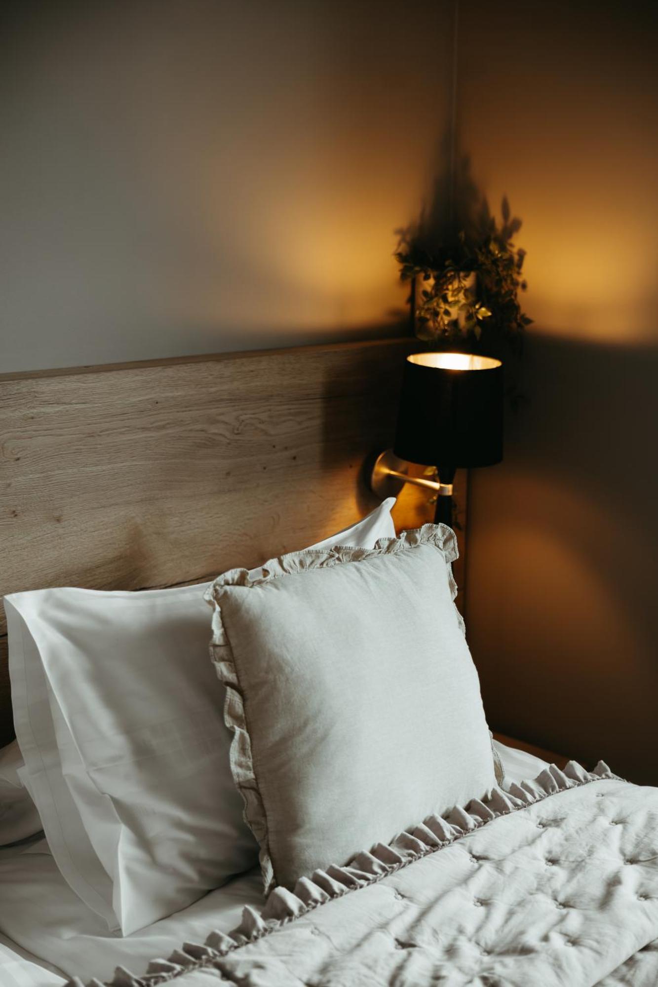 Superior Apartment with Sofa Bed
