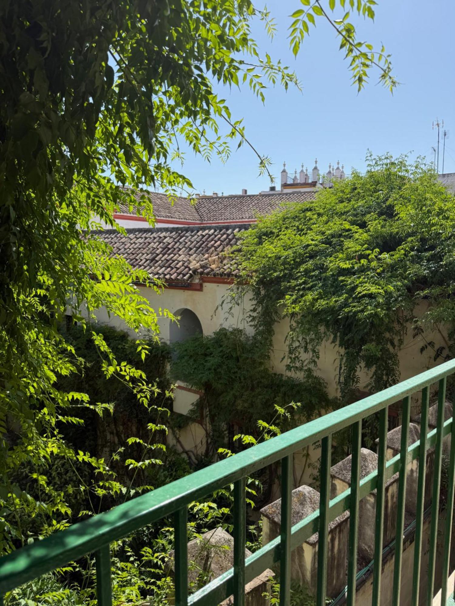 Apartamento Deluxe de 2 dormitorios con vistas al jardín
