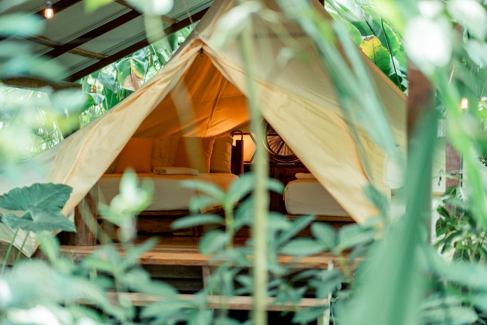 Rainforest Tent - Two Double Beds