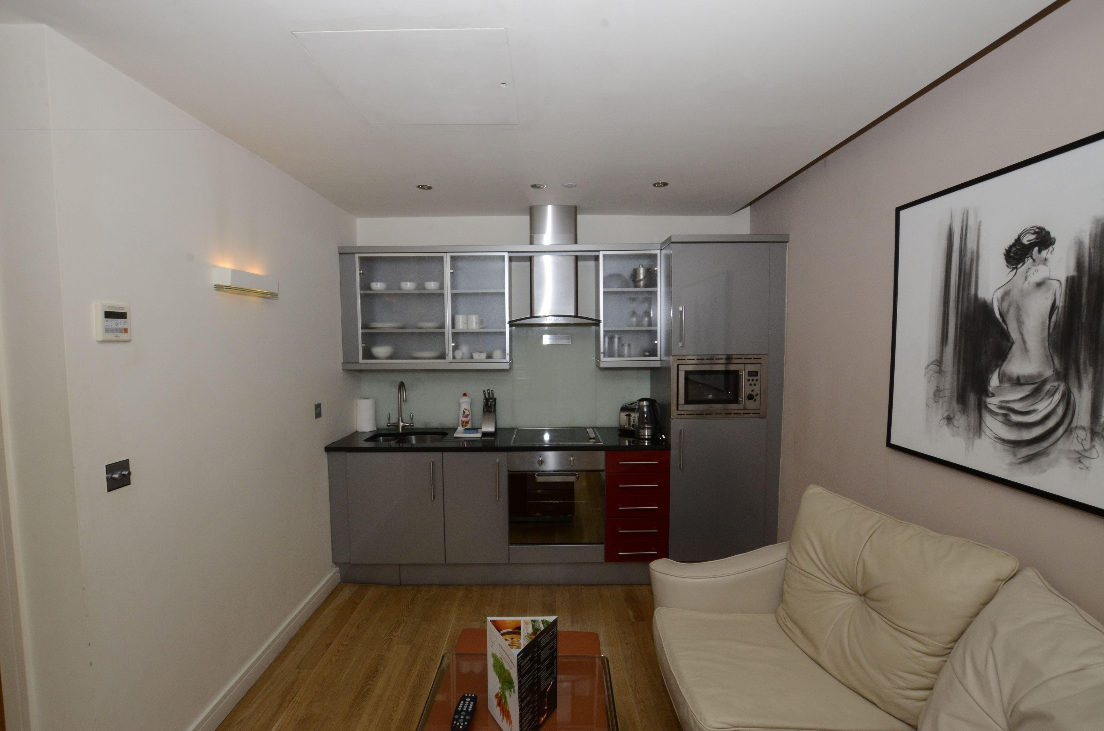 Large Open Plan One Bedroom