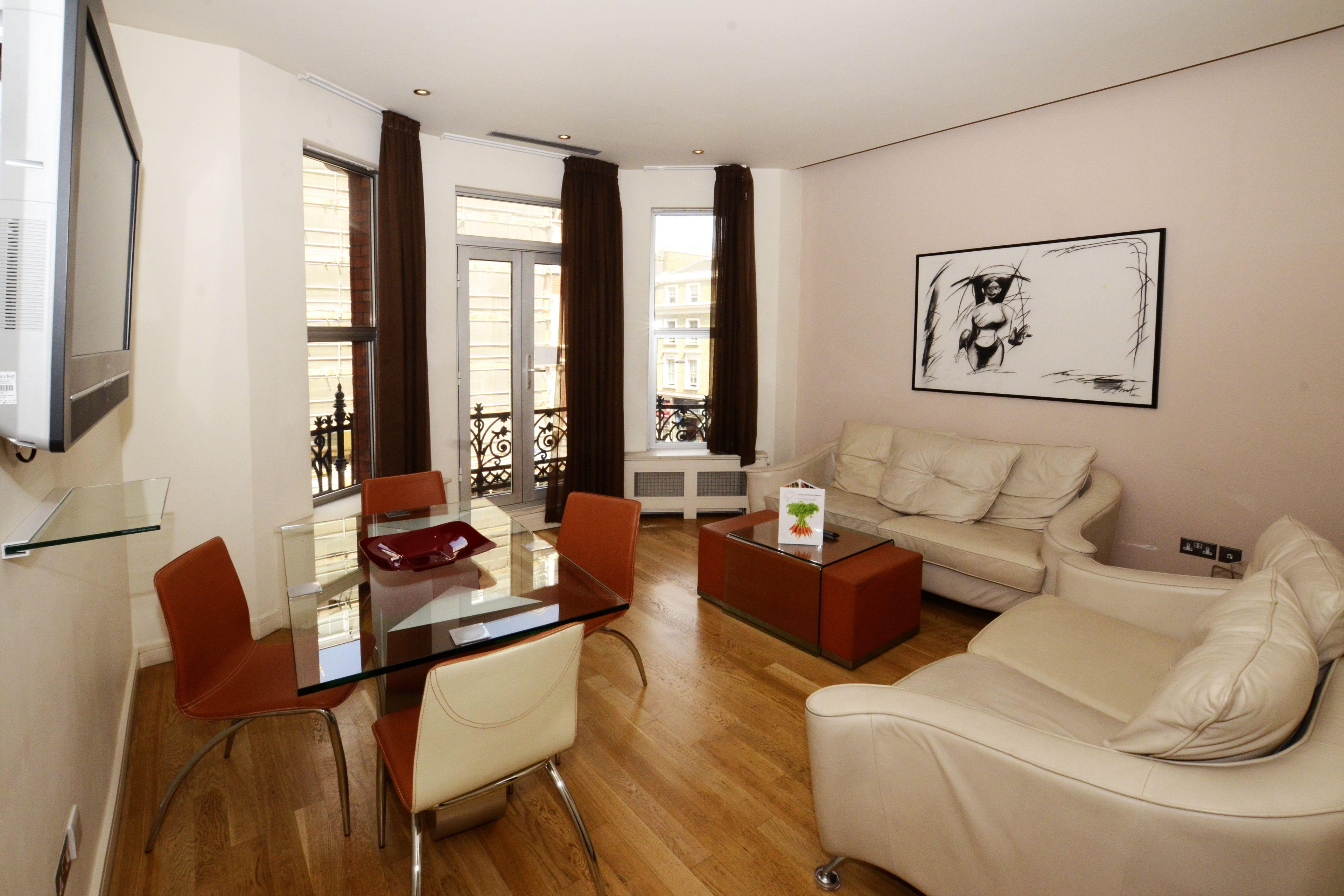 Large One Bedroom Apartment