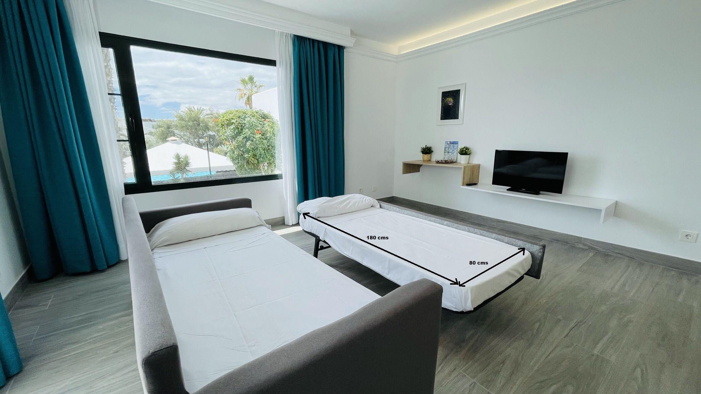 Superior One-Bedroom Apartment Terrace