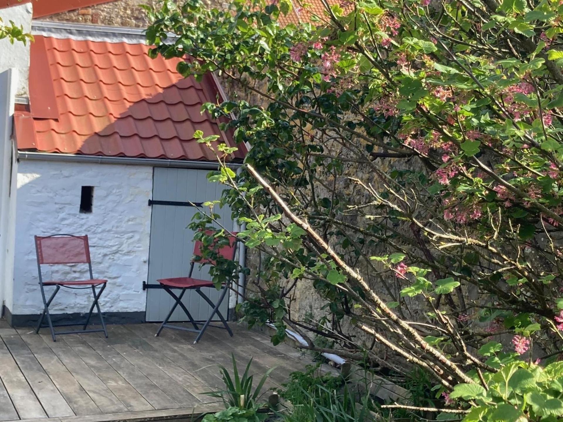 One-Bedroom Apartment Garden