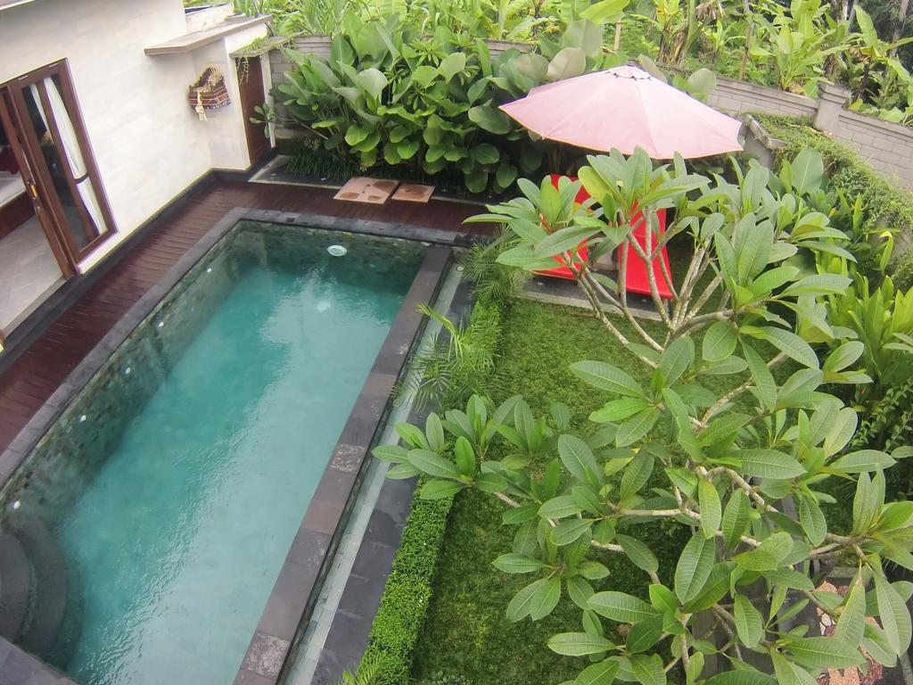 Special Offer - Honeymoon Package at One-Bedroom Pool Villa