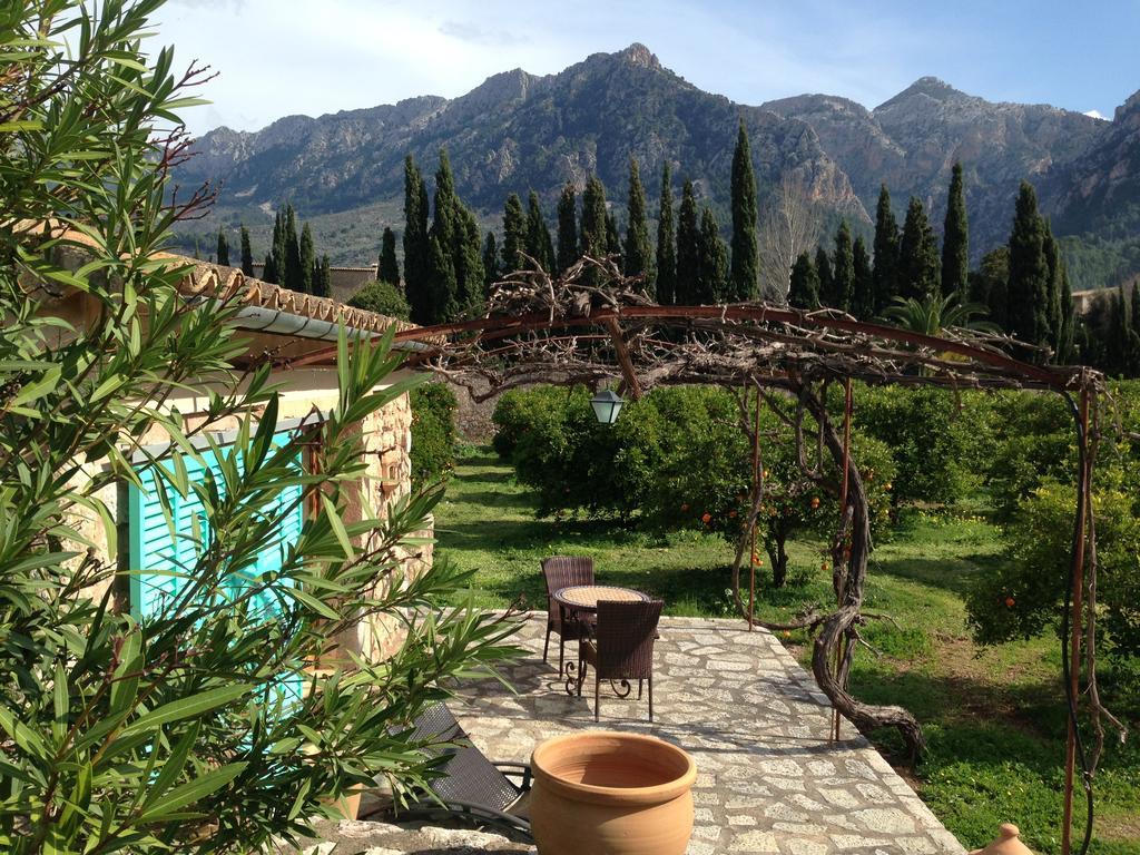 Double or Twin Room Terrace