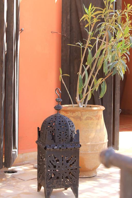 Bungalow - Vue sur Jardin