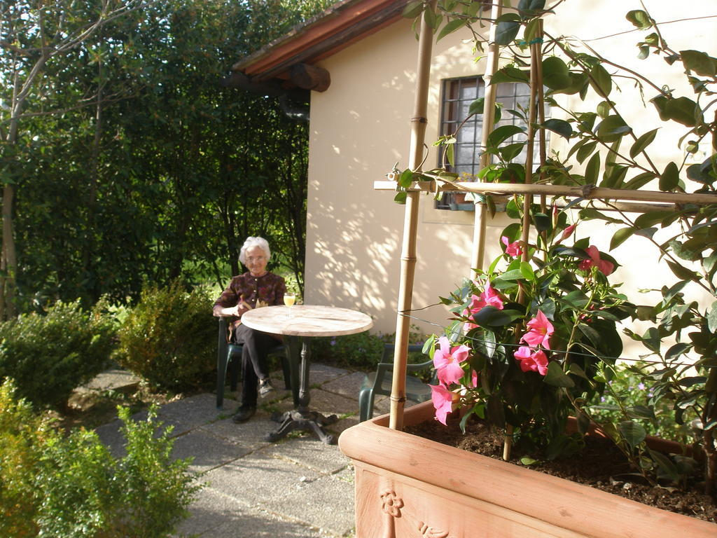 Studio Garden View