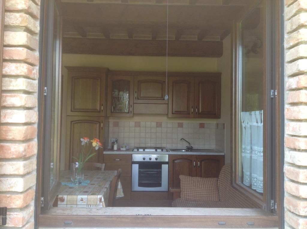 One-Bedroom Apartment,256440565:JPEG