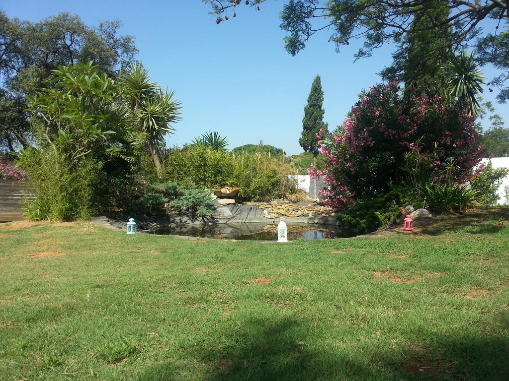 Estudio con terraza