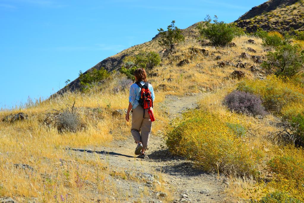 Two-Bedroom Villa,818293580:JPEG