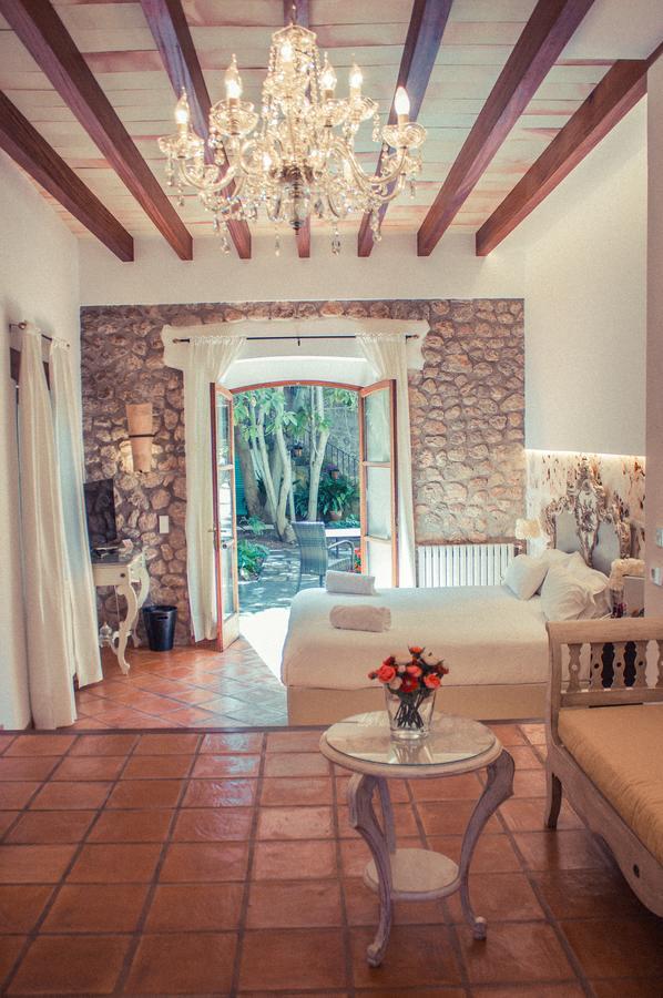 Junior Suite Terrace