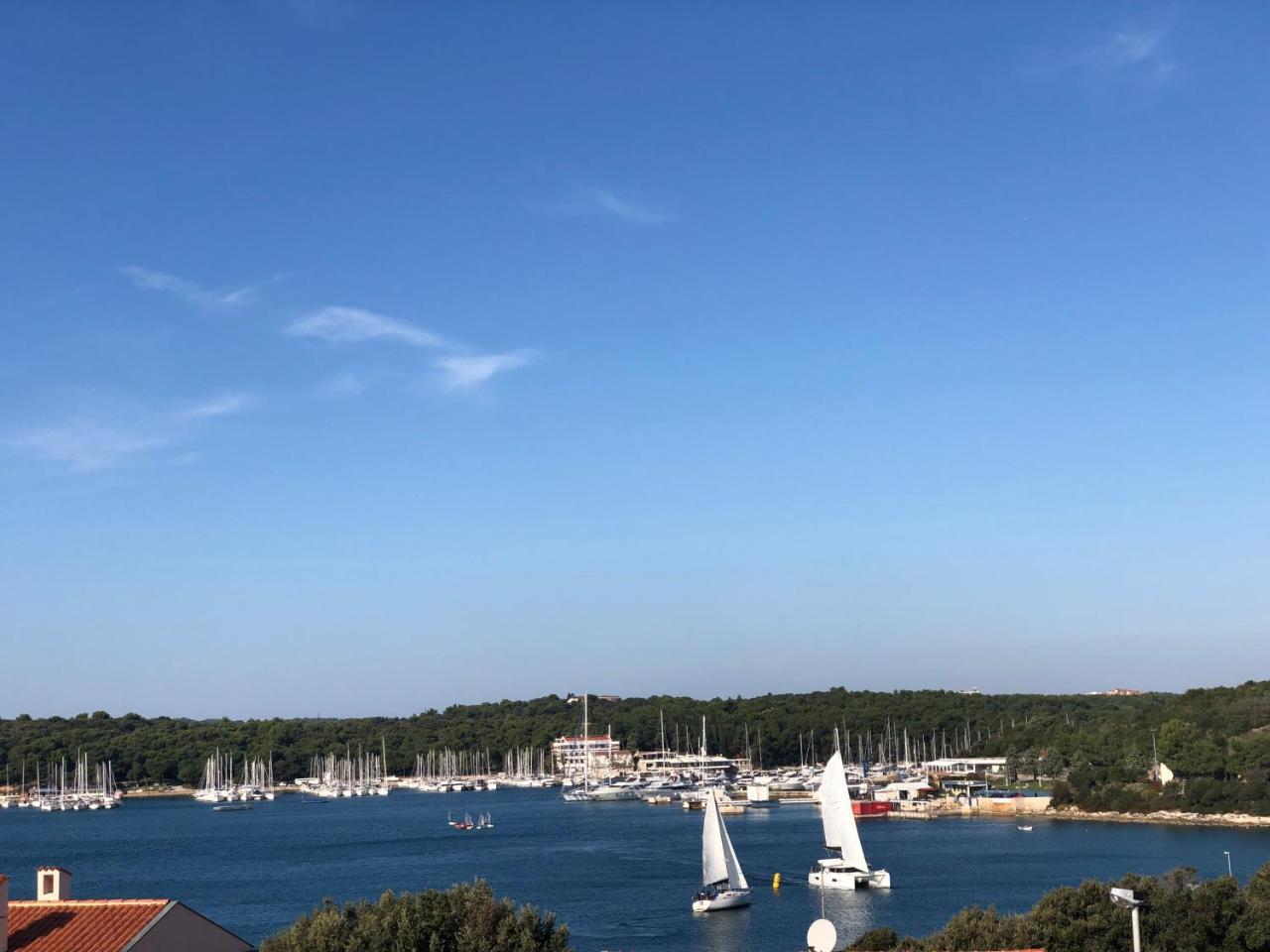 Two-Bedroom Apartment with Terrace and Sea View,798805818:JPEG