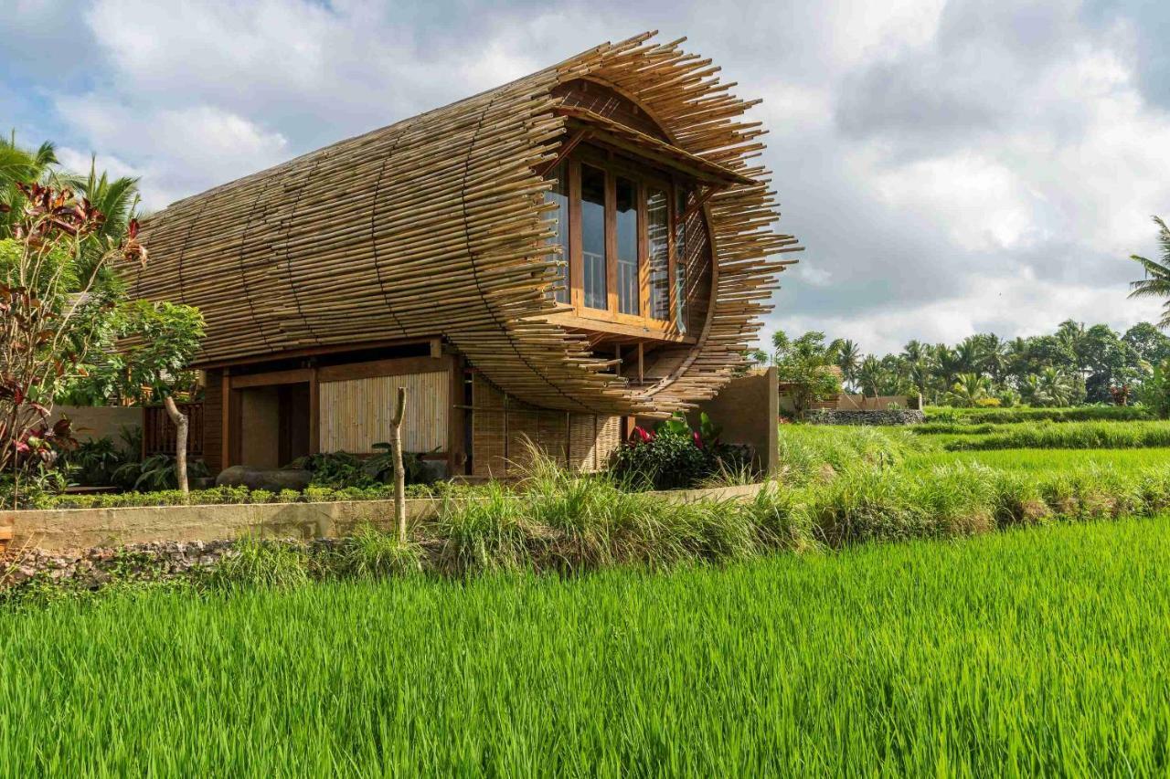 One-Bedroom Villa with Exclusive Rice Field View