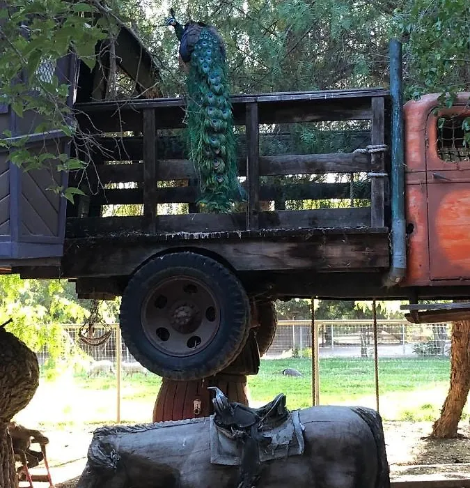 Wine Country Private Working Sheep Farm; Rustic Elegance-1