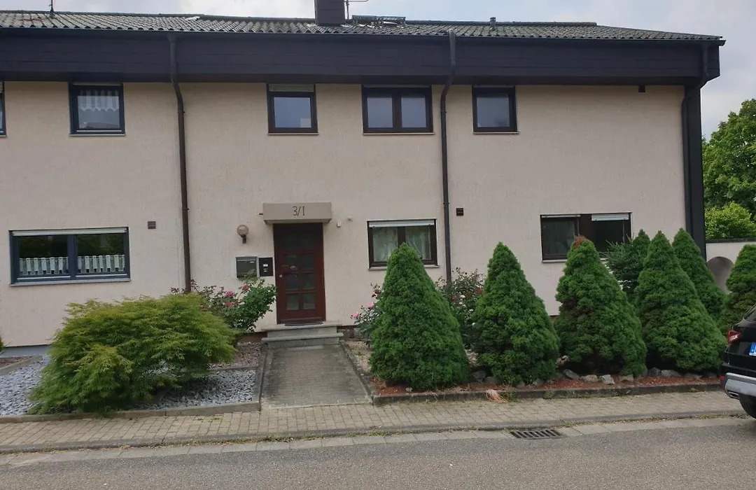Ferienwohnung Bad Rappenau-1