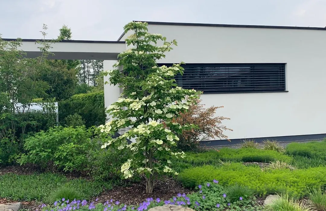 das Ferienhaus Auszeit-1