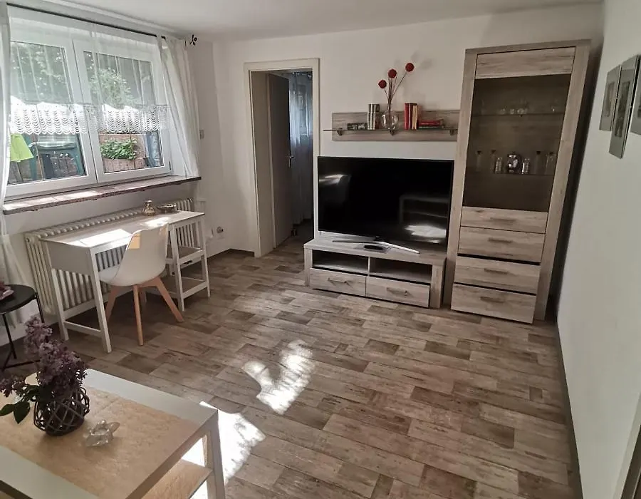 Ferienwohnung Ostrau-1