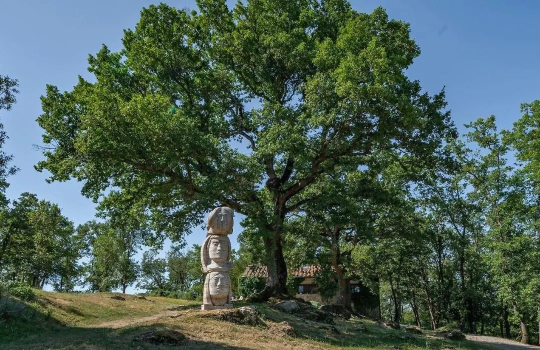 Montelodoli Capanna-1