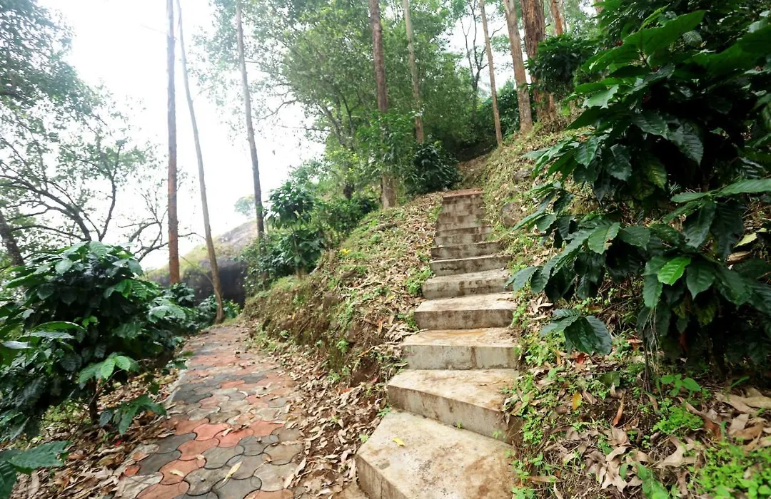 Green Magic Home-1