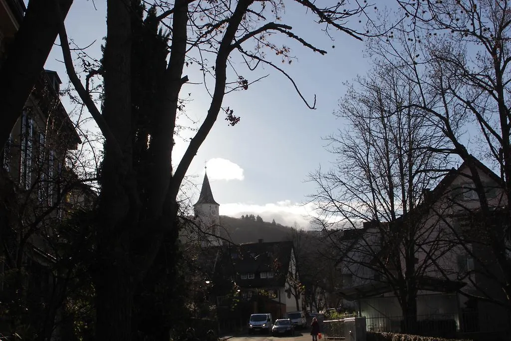 Ferienwohnung Freiburg Herdern-1