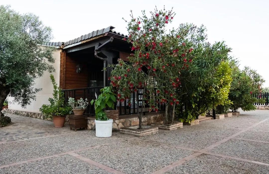 Casa rural Entreolivos-1