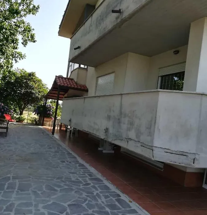 Old Club-1