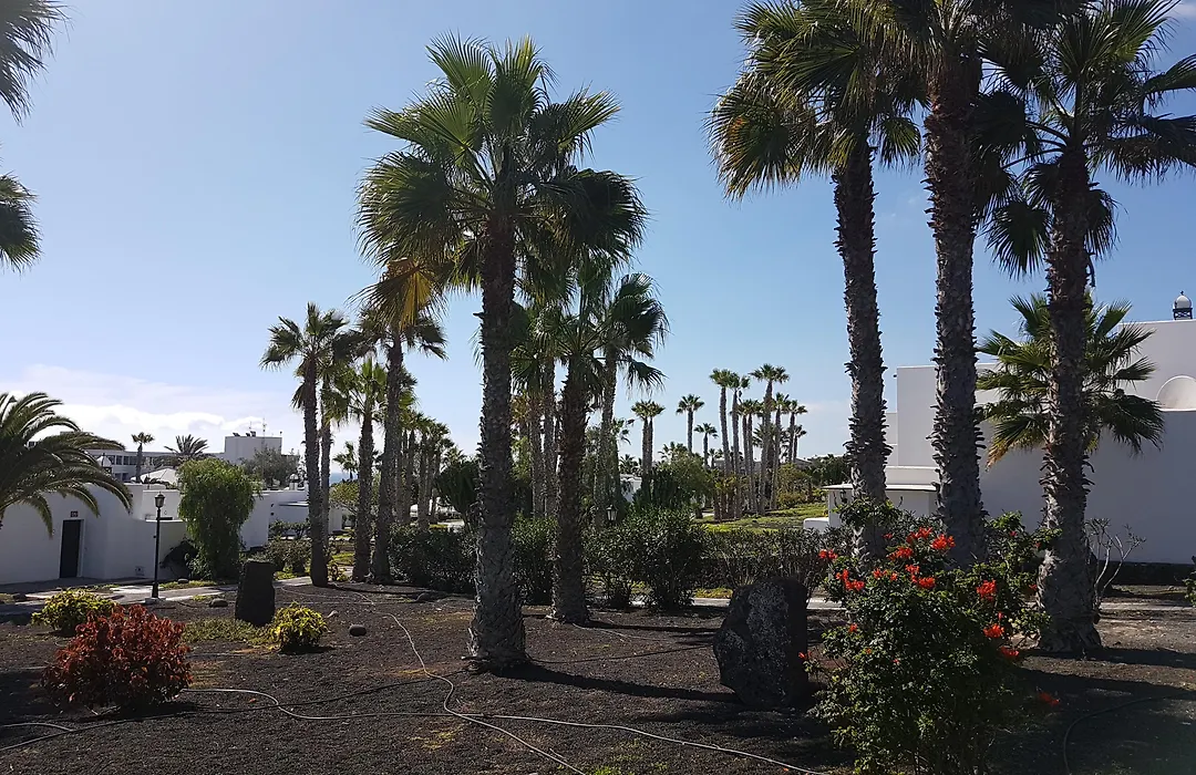 Palmeras Garden-1