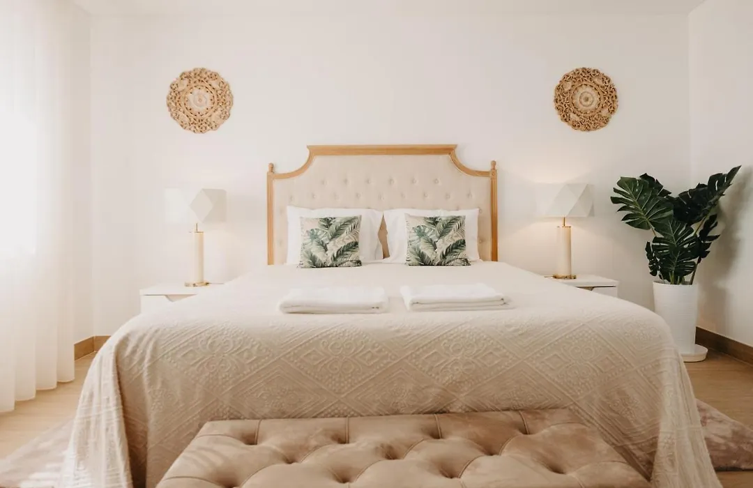 Quinta Monteiro De Matos - Enoturismo-1