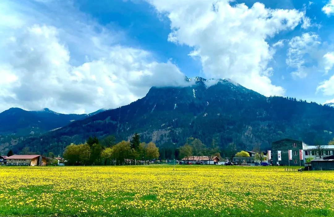 Studio Nebelhorn-1