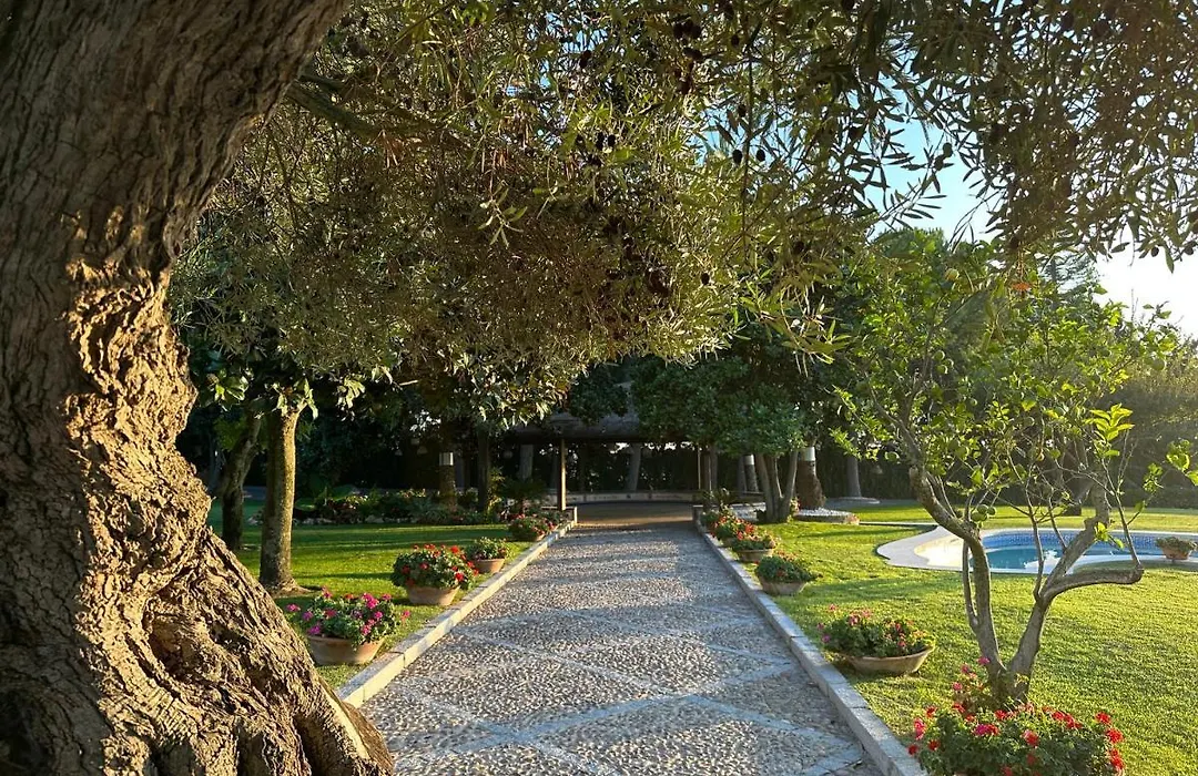 Finca El Maestre-1