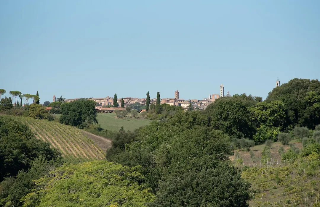 Agriturismo Il Colle-1