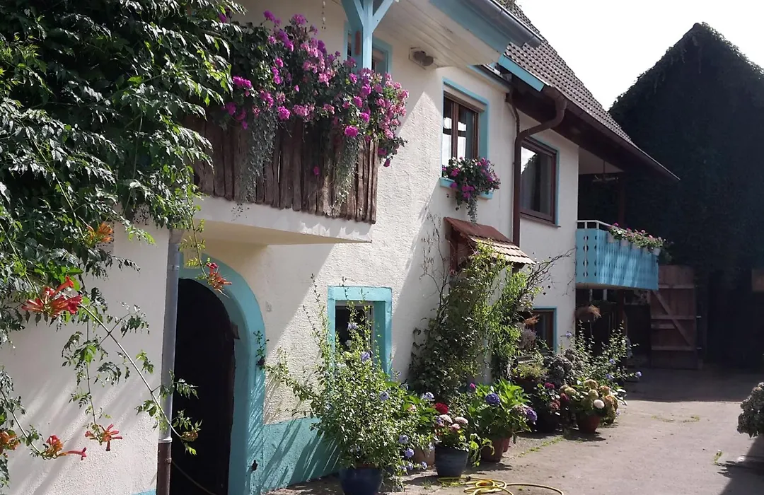 Rosenhof Broggingen-1
