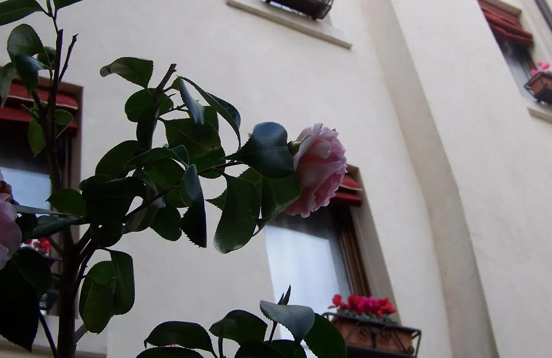 Guest House Delizia Estense-1