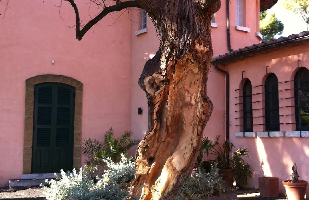 Villa Acquaviva Wine Resort-1