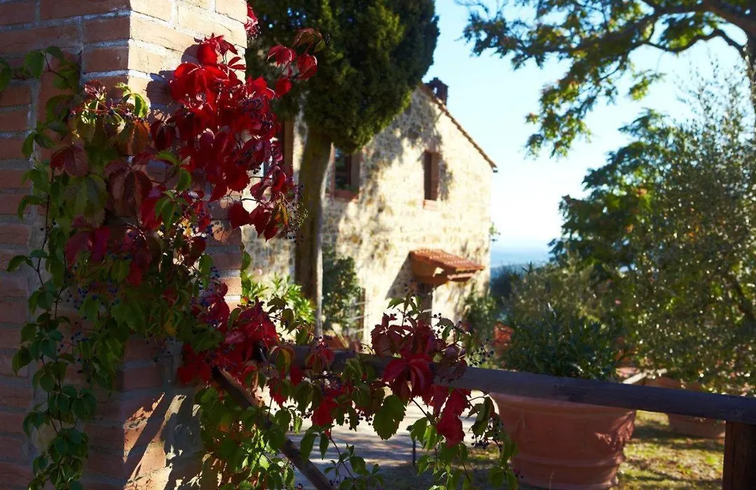 Podere Palazzolo (ADULTS ONLY)-1