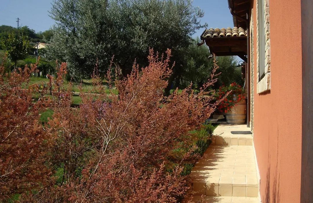 Agriturismo Il Borgo Degli Ulivi-1