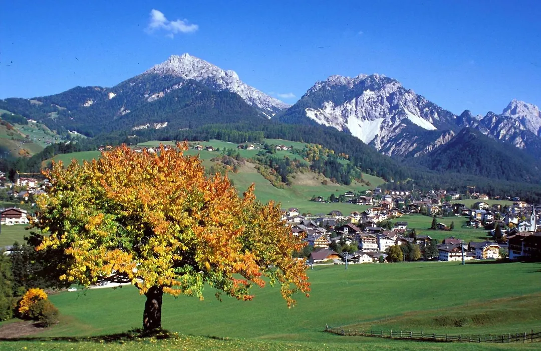Alpine Chalet Sauter-1