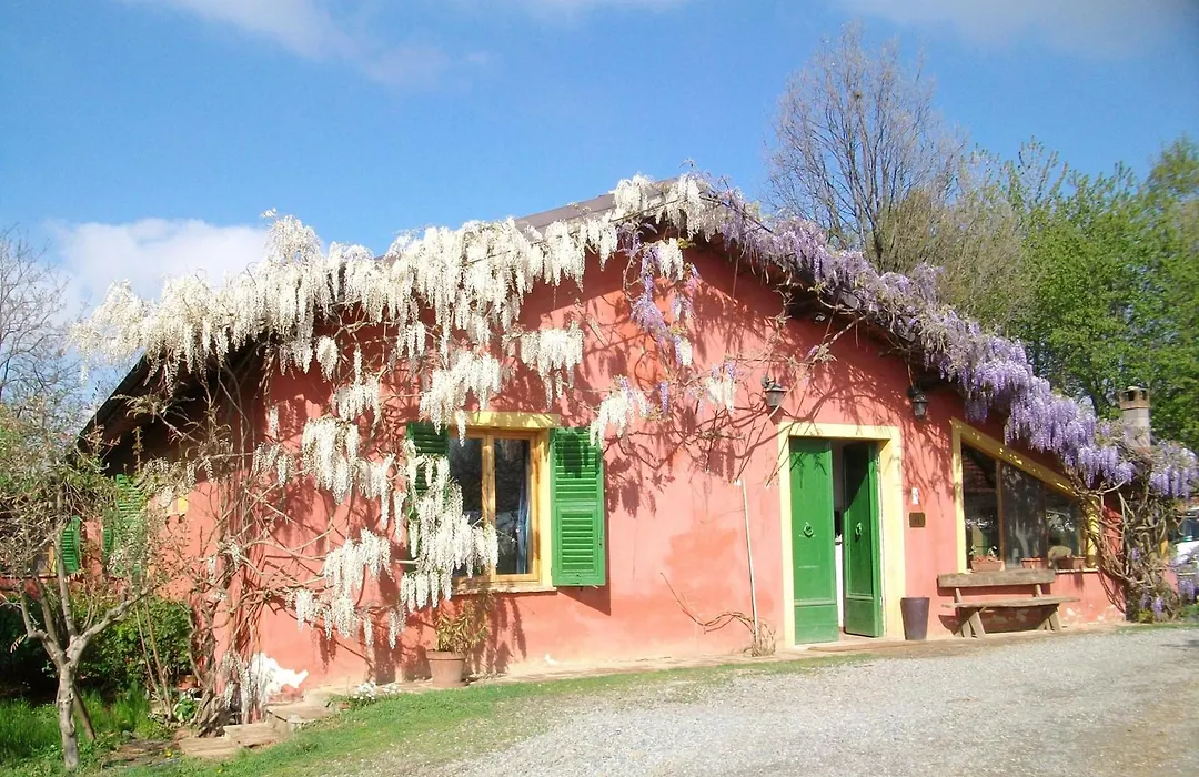 Agriturismo Cascina degli Ulivi-1